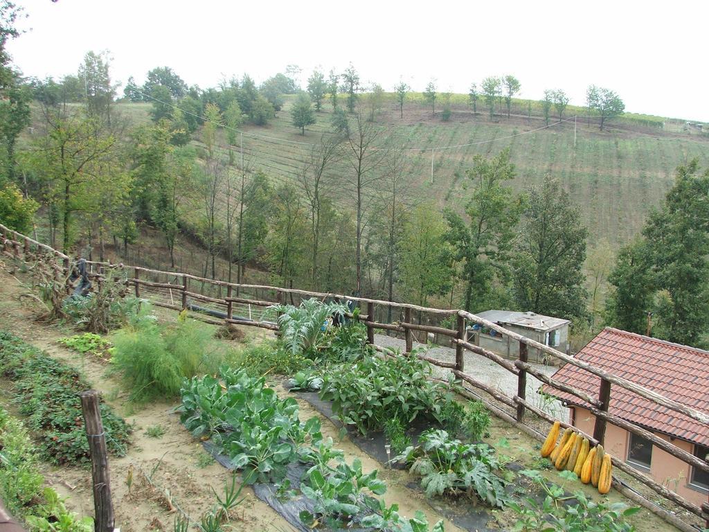 Agriturismo Cascina Aurora Villa Acqui Terme Luaran gambar