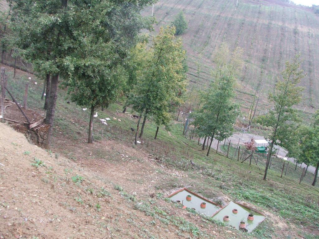 Agriturismo Cascina Aurora Villa Acqui Terme Luaran gambar